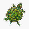 Colorful Green Slider Turtle Sticker by Robert Phelps