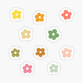 Colour Aesthetic Flowers