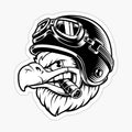 Cool eagle with a cigar