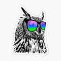 Cool Owl