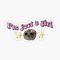Coquette Sad hamster