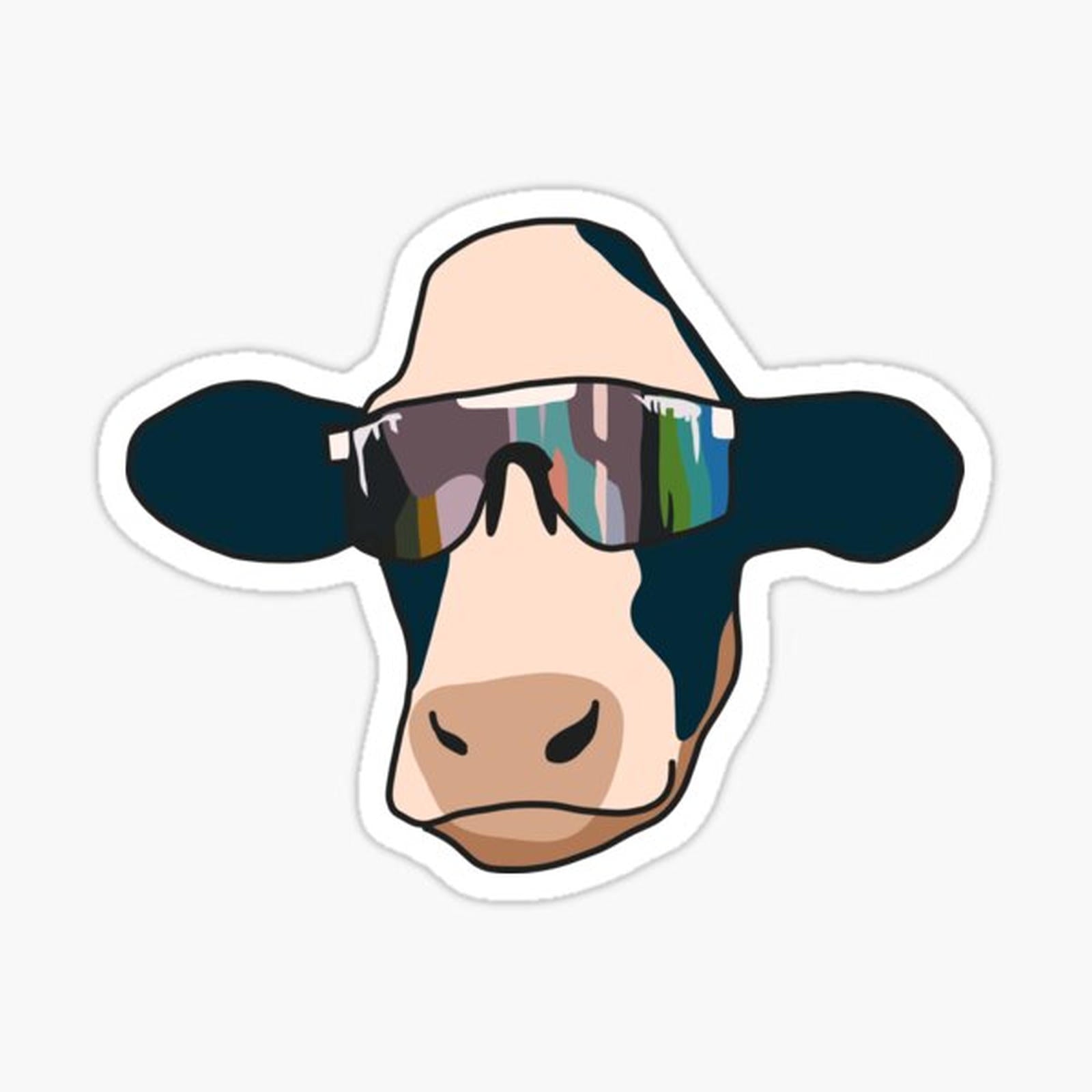 cow wearing pit vipers