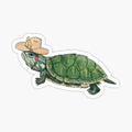Cowboy Turtle