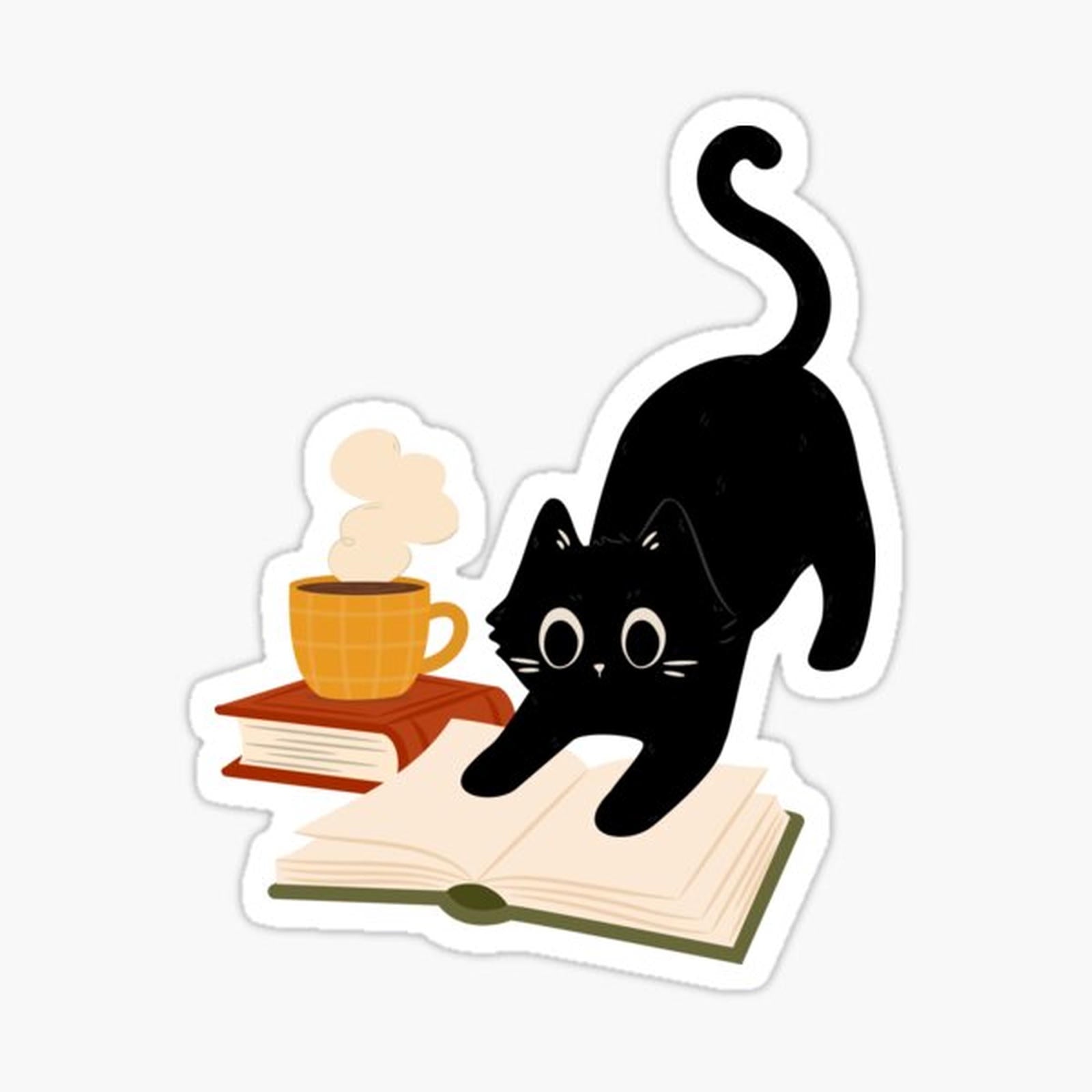 cozy cat