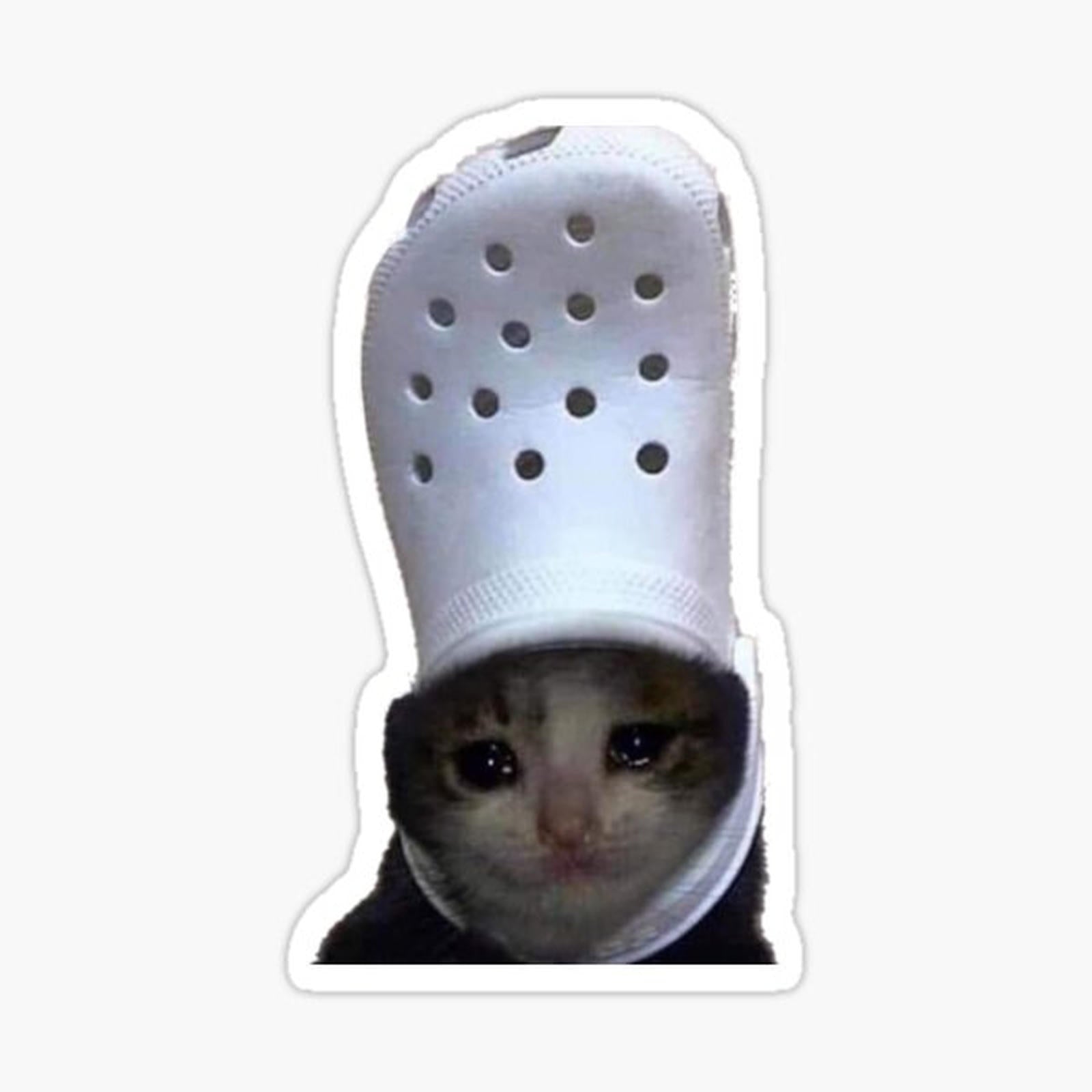 Crying Cat Croc Meme