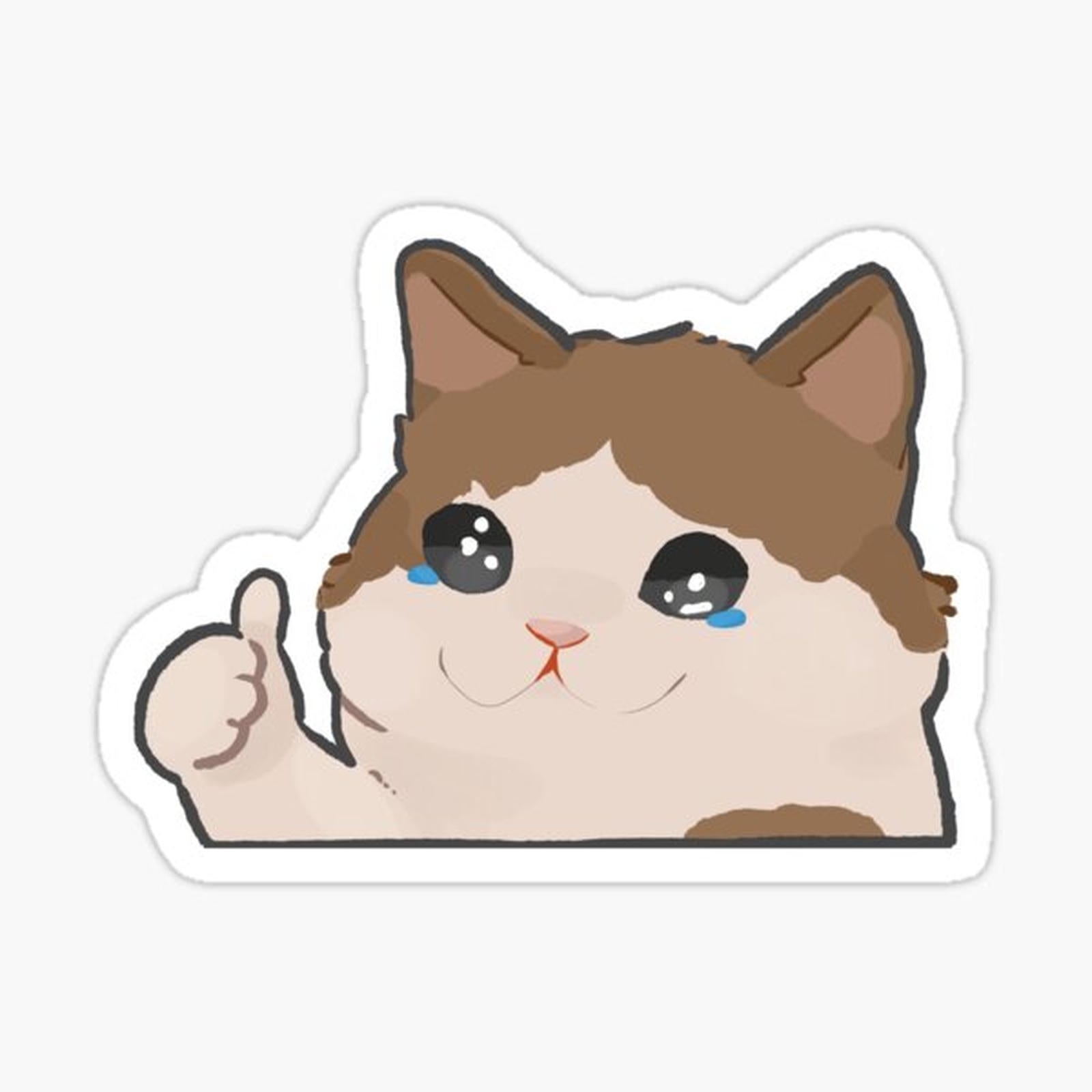 crying cat meme