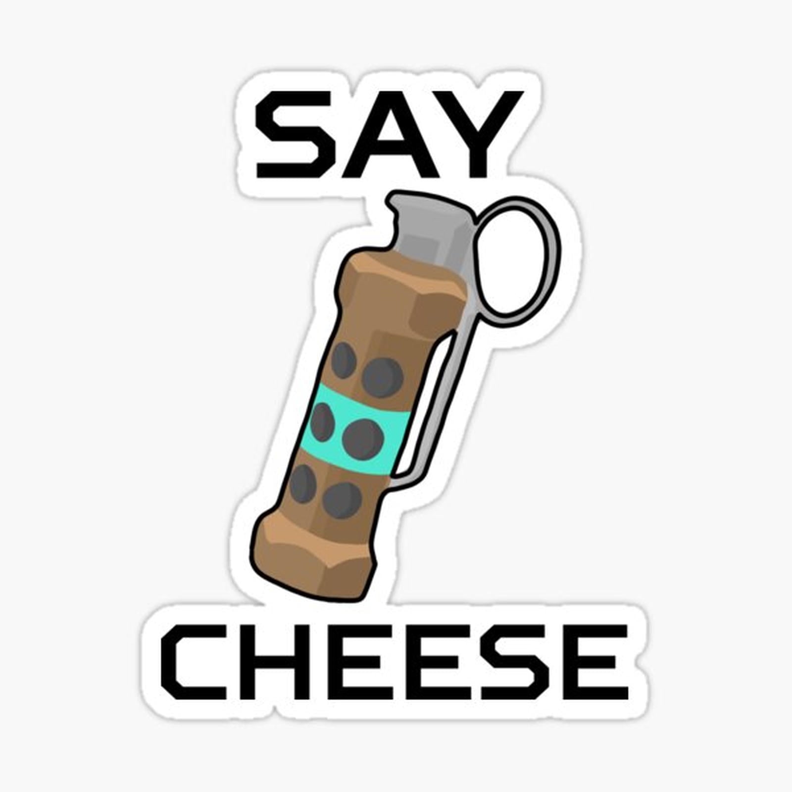 CSGO Flashbang Say Cheese
