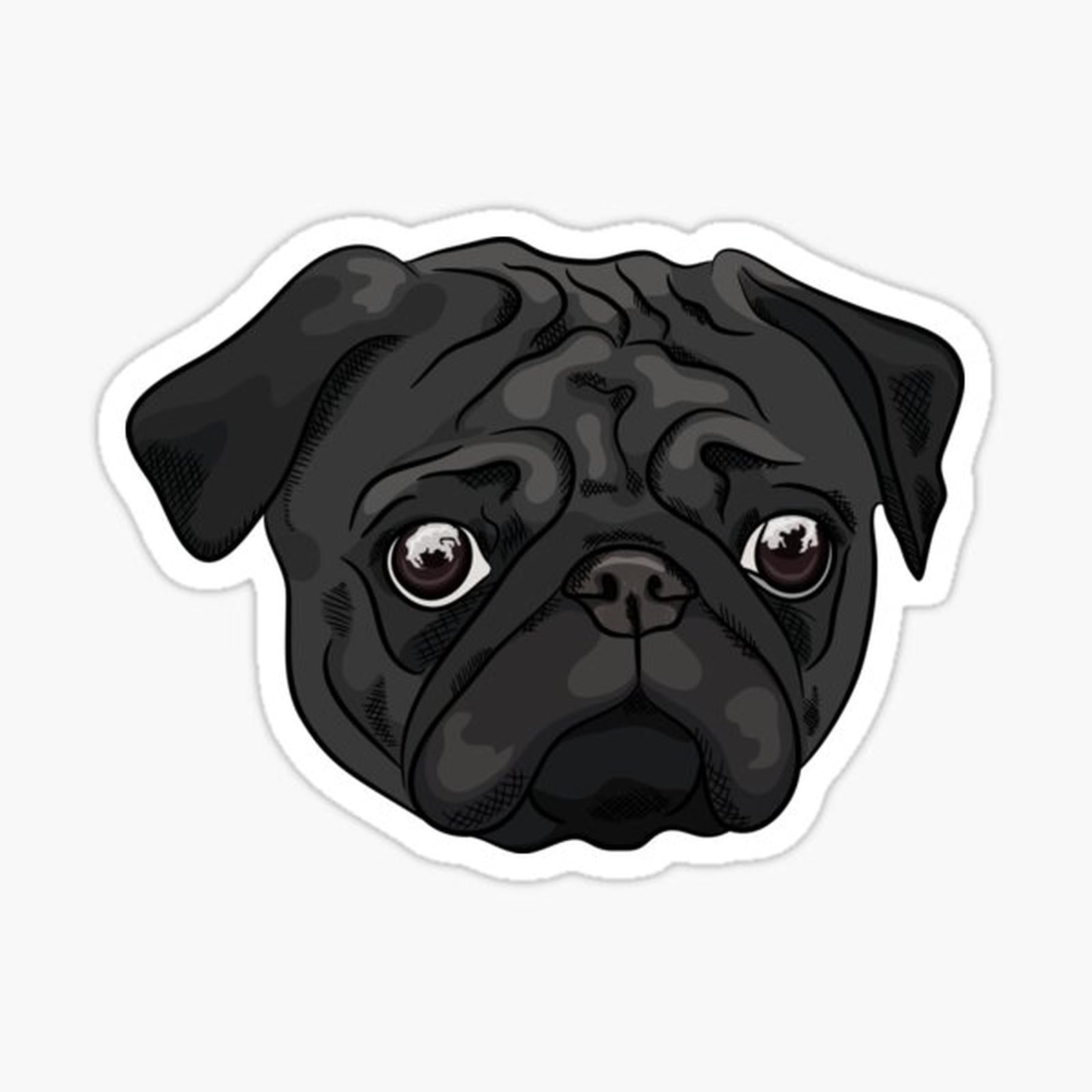 Cute black pug portrait
