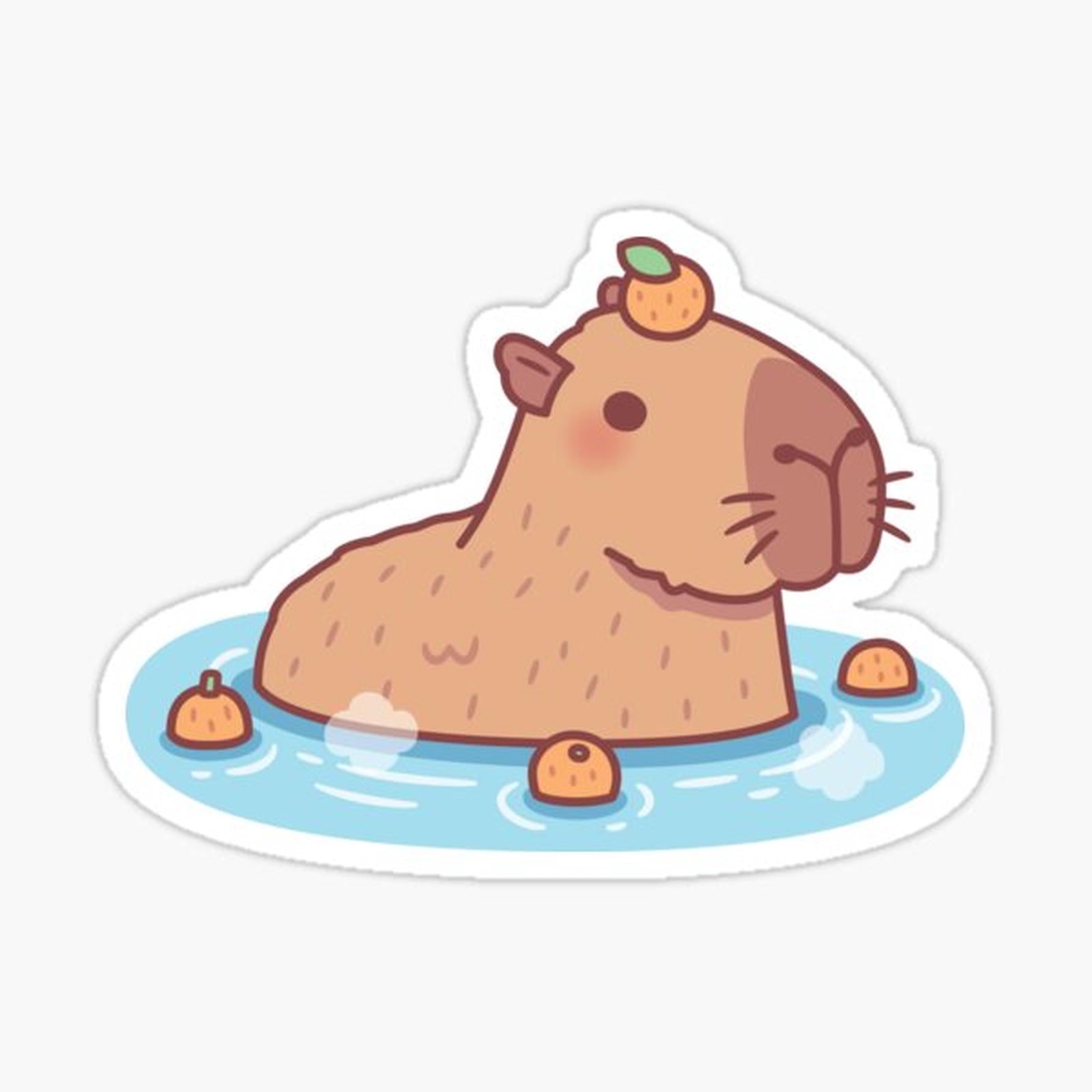 Cute Capybara With Orange On Head Chilling In Hot Spring