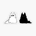Cute cats