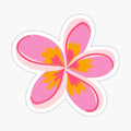 Cute lil pink frangipani