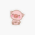 Cute Piggy