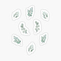 Cute Sage Green