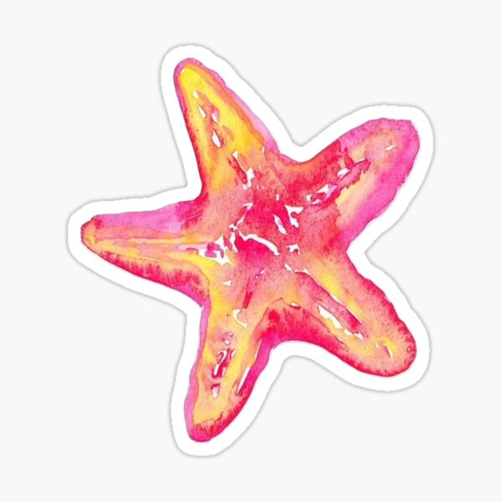 Cute sea star