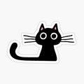 Cutie Kitty Cat Wide Eyed Black Kitten