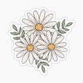 Daisy Bundle