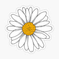Daisy Flower