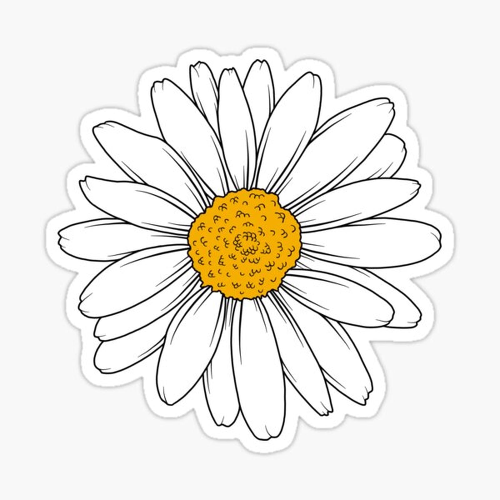 Daisy Flower