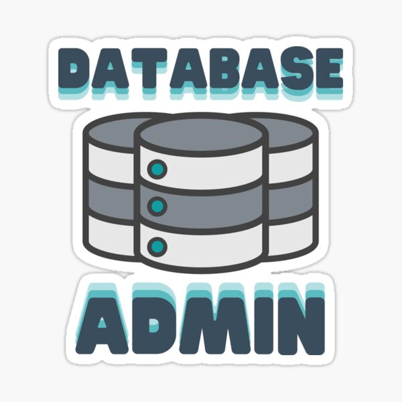 Database Admin DBA IT Professional