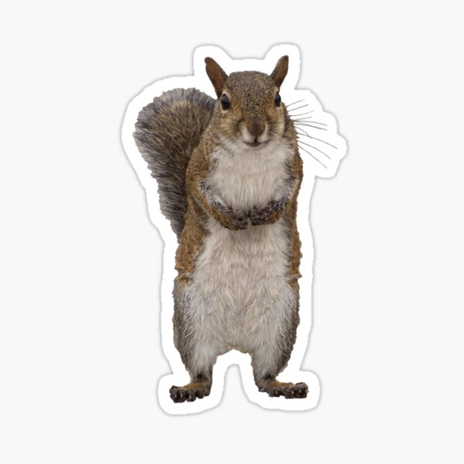 Do You Have Some Nuts_