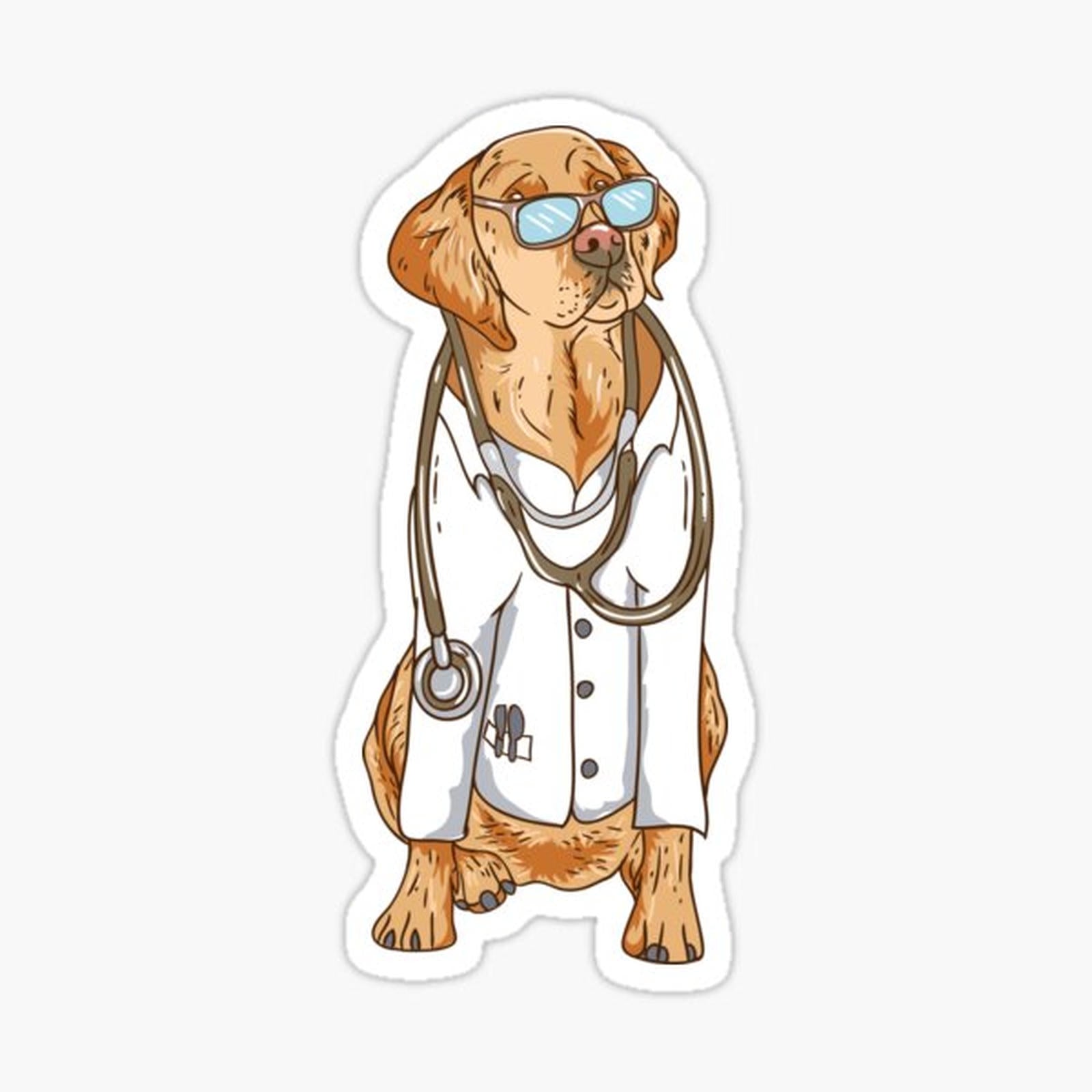 Dogtor Pets Veterinarian Doctor Animal Lovers