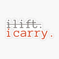 DOTA 2_ I lift. I carry.
