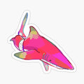 Dragonfruit Shark