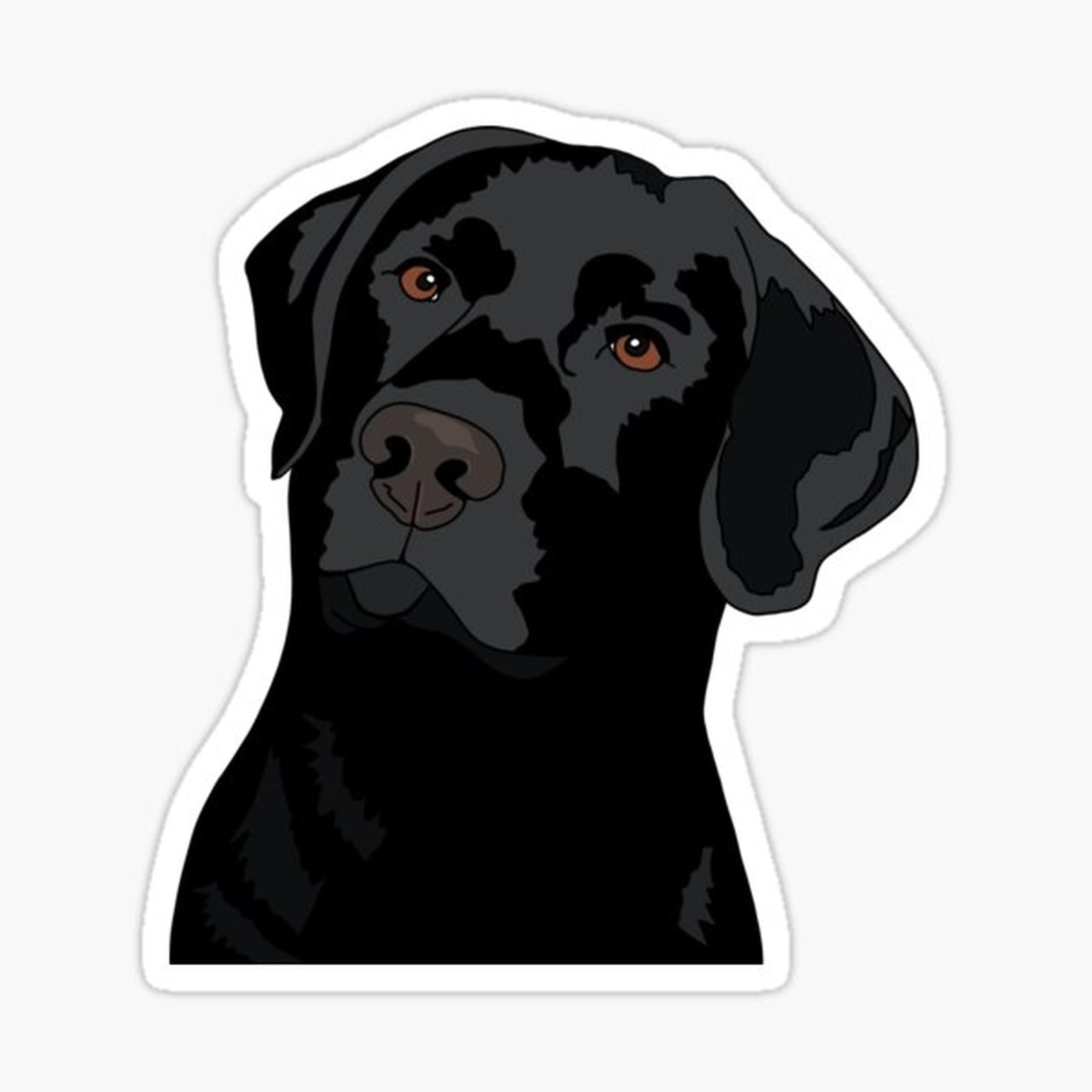 Duke the Lab