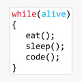 Eat Sleep Code While Loop