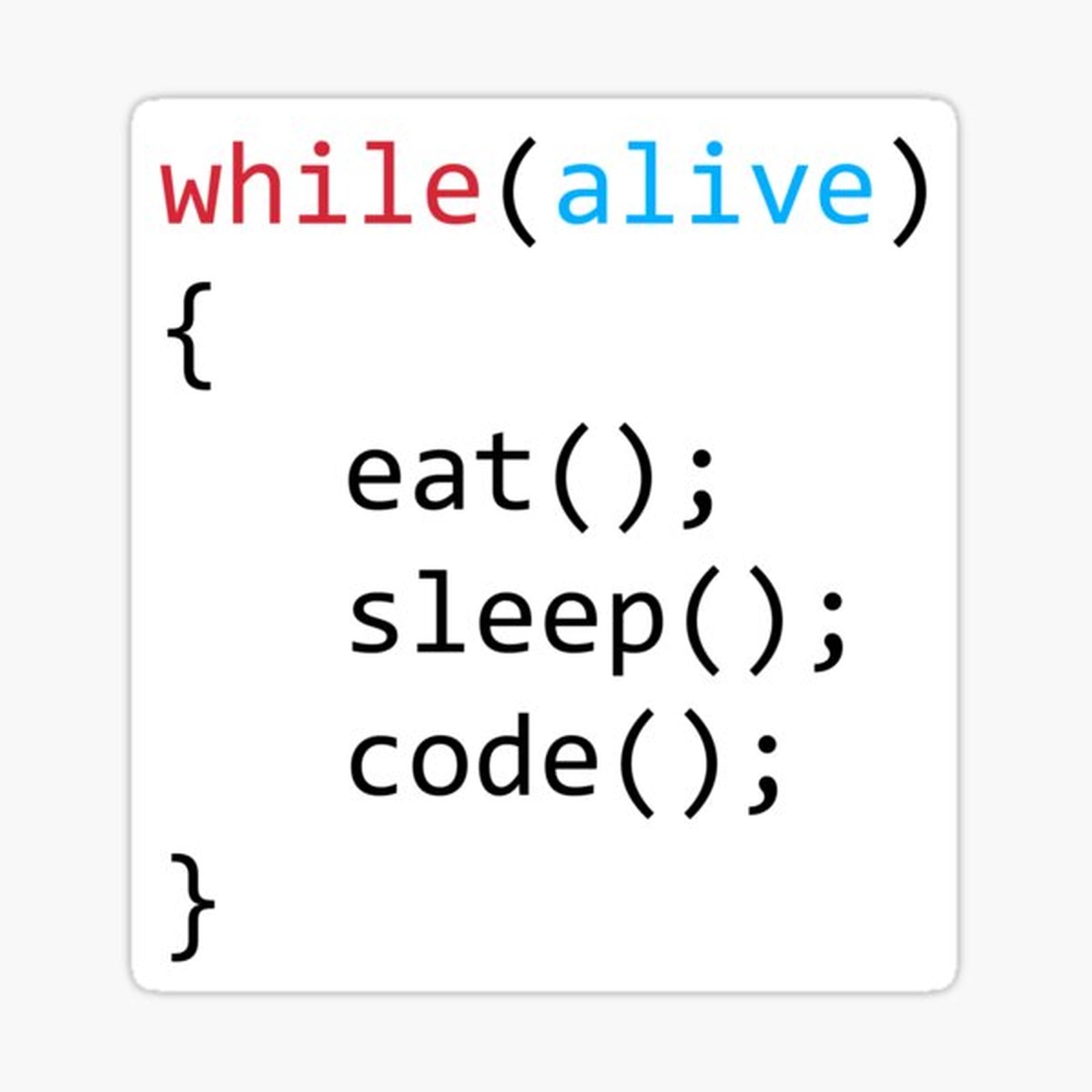 Eat Sleep Code While Loop