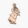 Elizabethan Rabbit