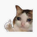 Everything’s good cat