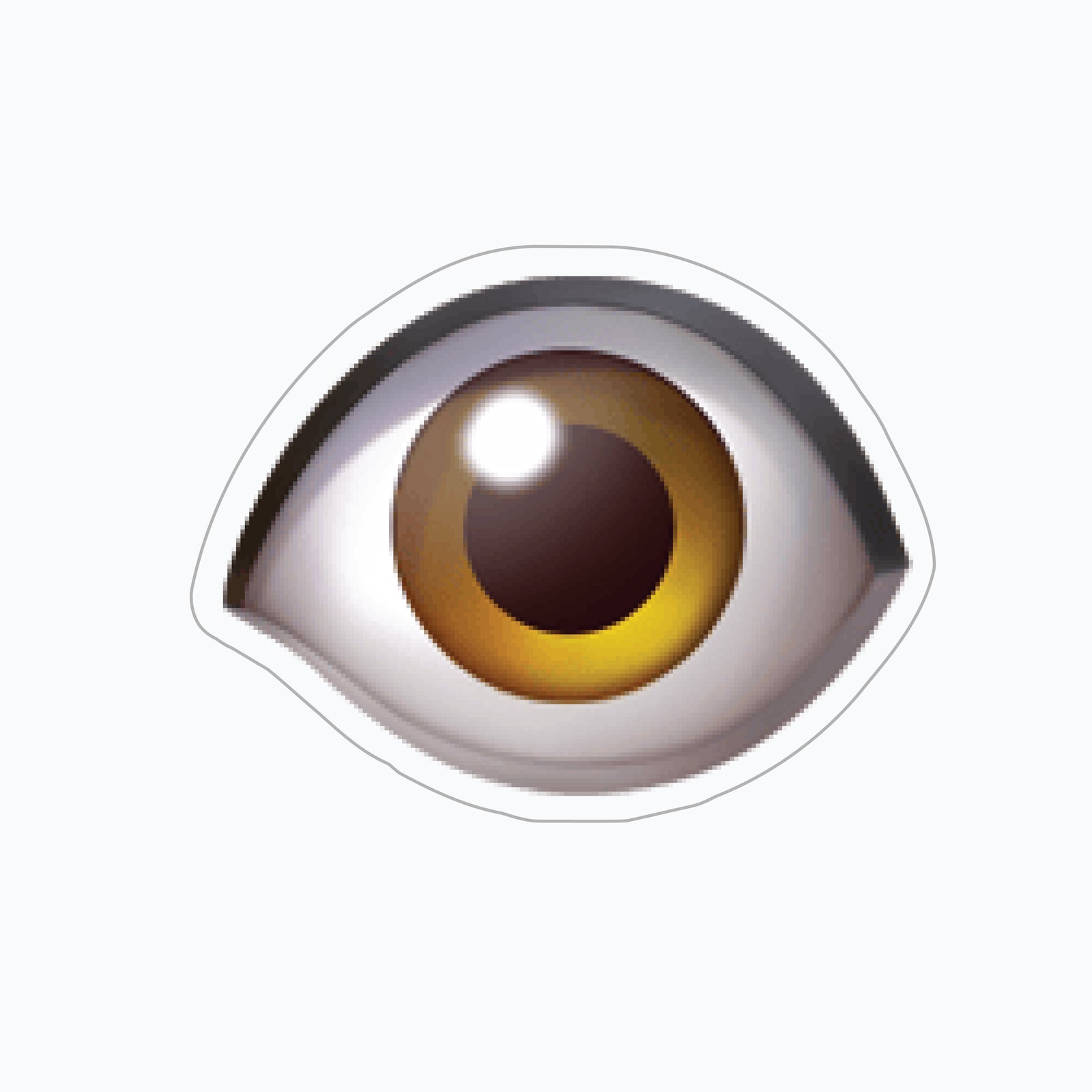 eye