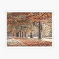 Fall Splendor