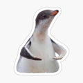 flexing penguin