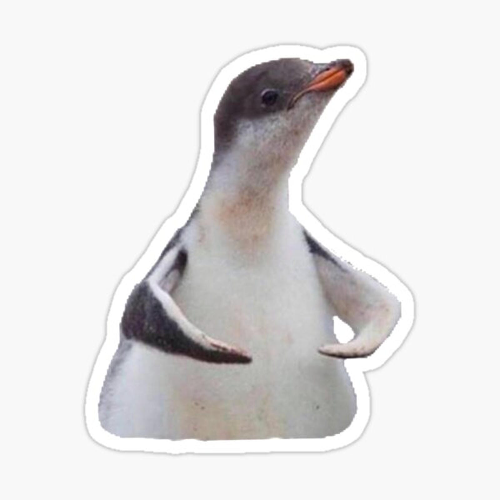 flexing penguin