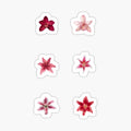 Flower stickers