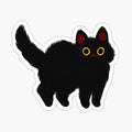 fluffy black