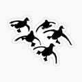 Flying Ducks Landing Hunting