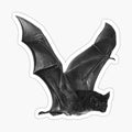 FLYING VAMPIRE BAT
