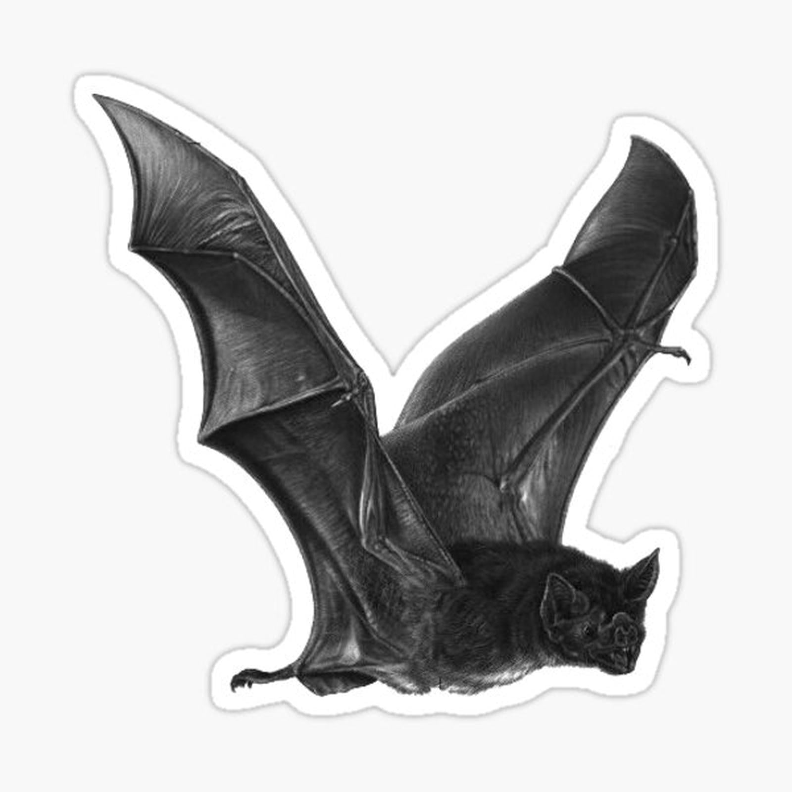 FLYING VAMPIRE BAT