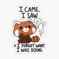 Forgetful Red Panda