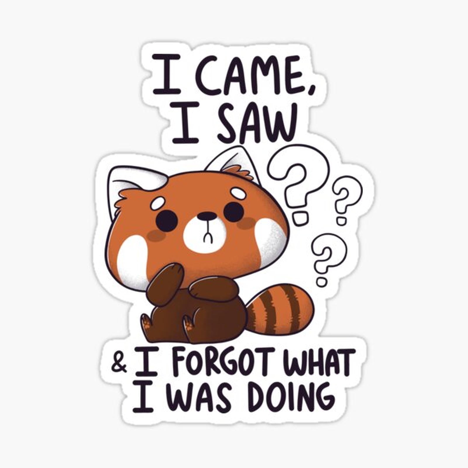 Forgetful Red Panda