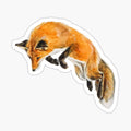 Fox Spring