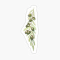 Free Palestine - Palestinian Green Olives Map