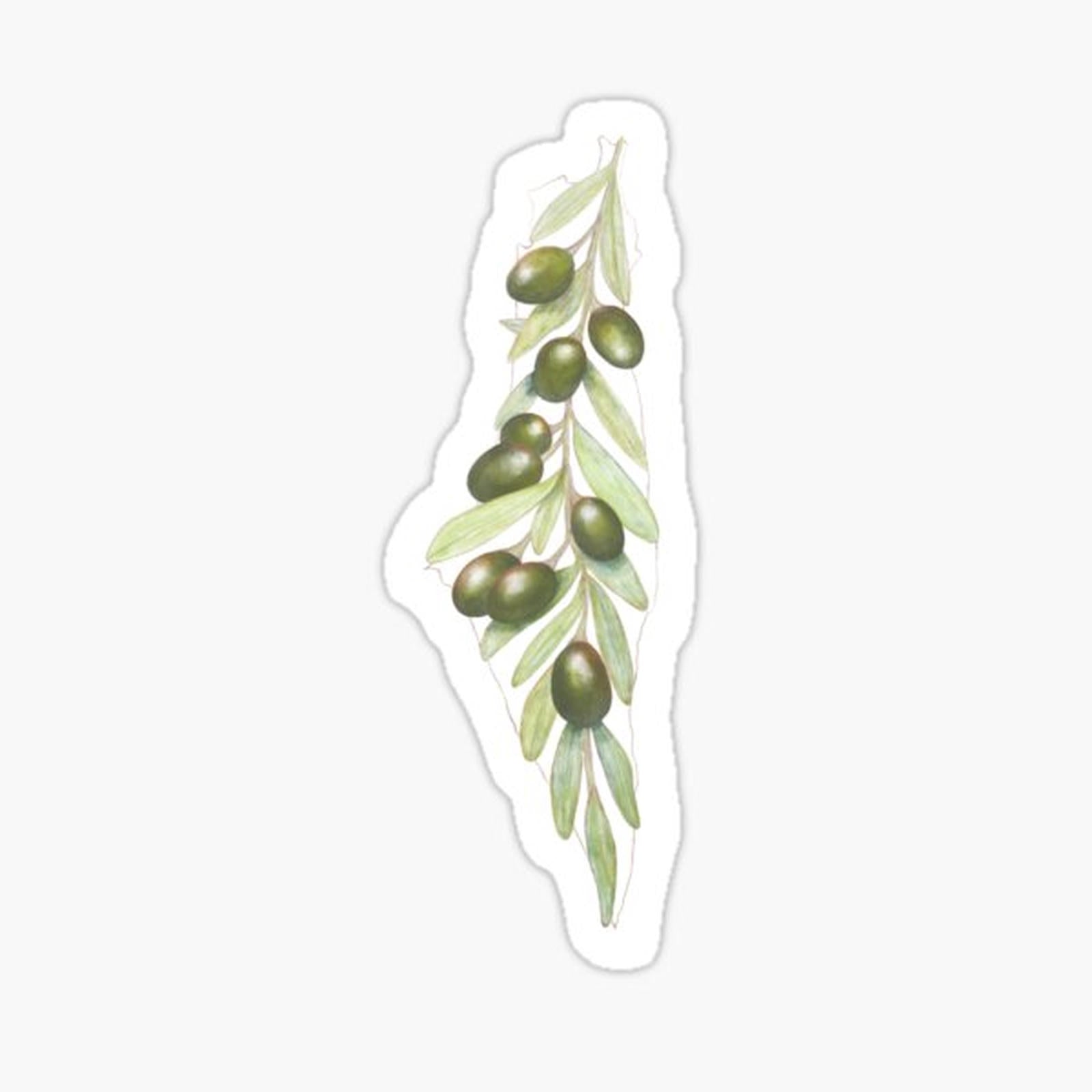 Free Palestine - Palestinian Green Olives Map