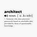 Funny Architect Definition