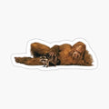 Funny Sasquatch Pose