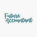 Future Accountant - Career