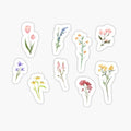 Garden Flowers